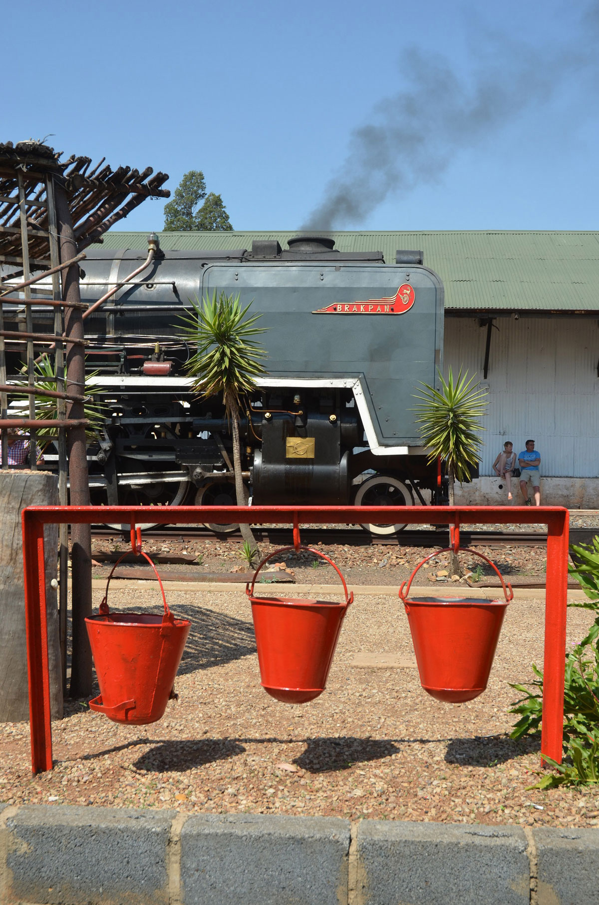 cullinan train WEB