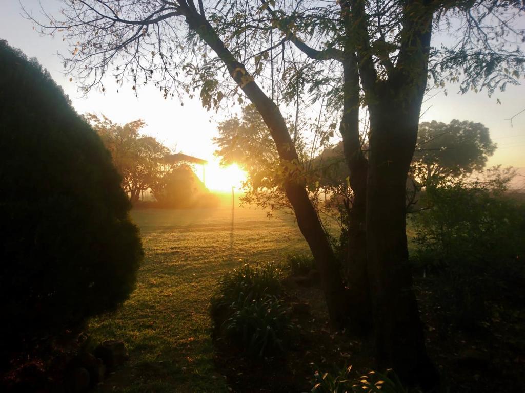 IMG 20200422 WA0000