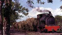 Gallery_50