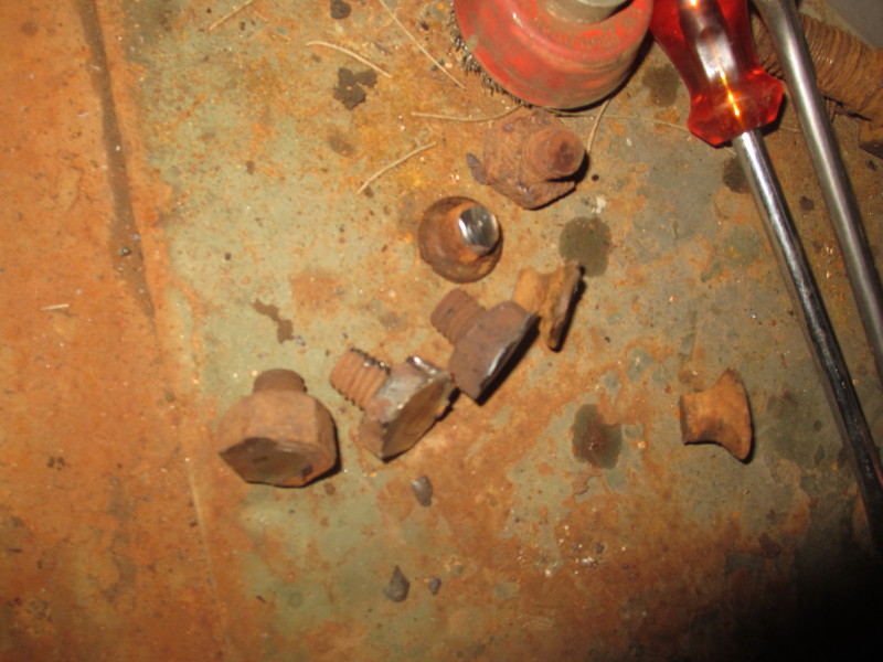 Article 1 image 8
