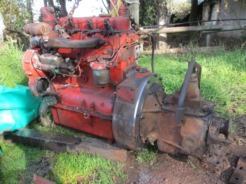 Article 8 image 19