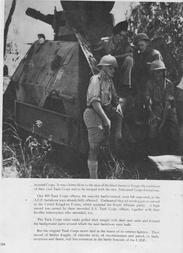 Article 22 image 3