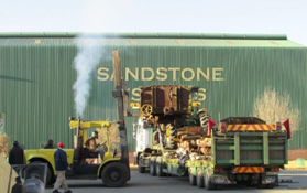 Wagon rescue image 3