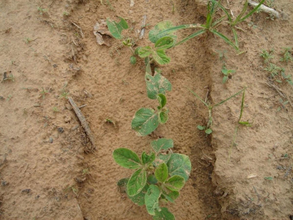 049