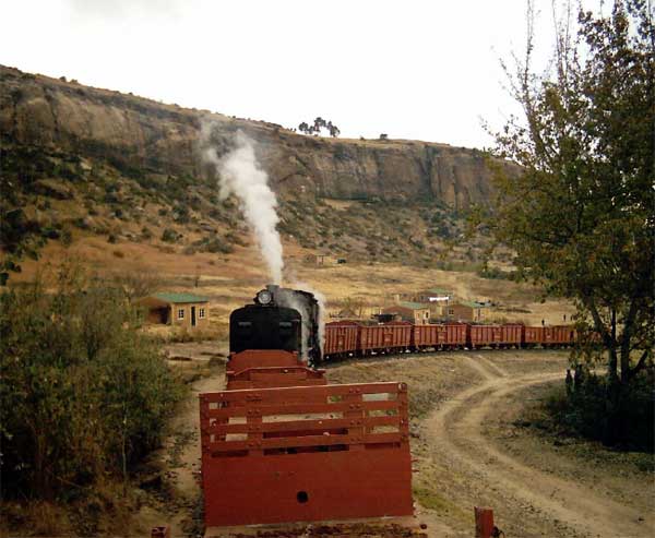 49 returned to Hoekfontein with the empty DZ’s and B wagons, which were loaded with bales and sleepers again the next day. RN_63_13